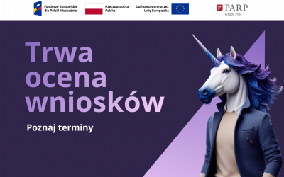 Ocena wniosków – co dalej?